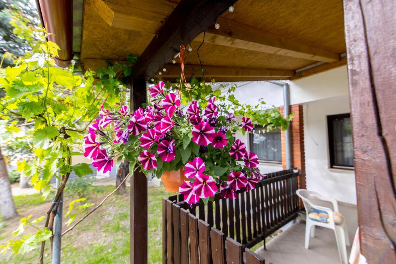 Apartman Marta I Soba Maja Gradiste Extérieur photo
